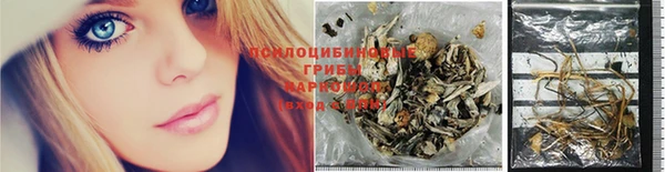 твердый Арсеньев