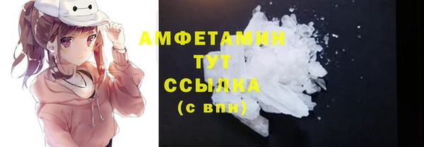 твердый Арсеньев
